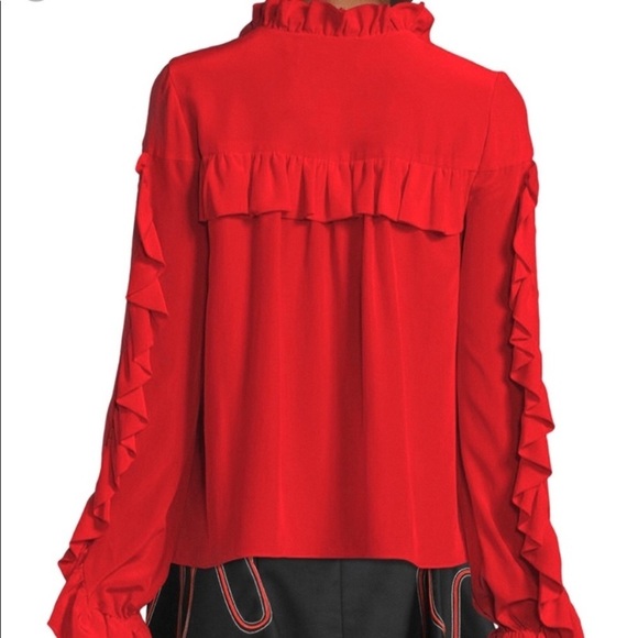 Alexis Rocio 100% silk ruffle blouse 17626 - Picture 6 of 16